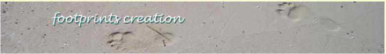 footprints website creation